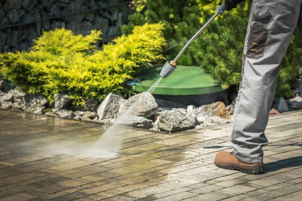 Boat and Dock Cleaning in Williamsburg, FL
