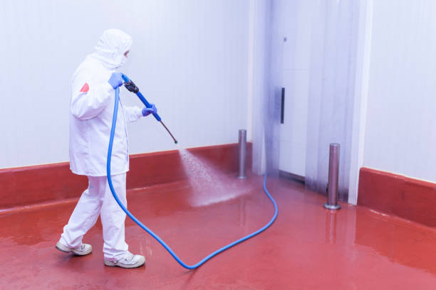 Best Graffiti Removal  in Williamsburg, FL